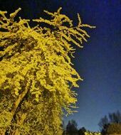 Dkxkxnxn Baksndb - Warszawa, Wiek 31. Dołącz tak samo jak Dkxkxnxn do najlepszych hostess, modelek i fotomodelek w Polsce