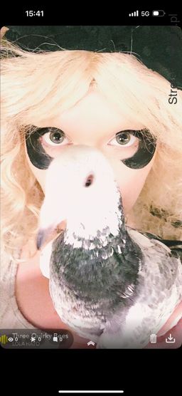 <p>LOLA HATO GRACE DESPERATE IMIGRANT</p>